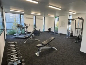 mt-gym3